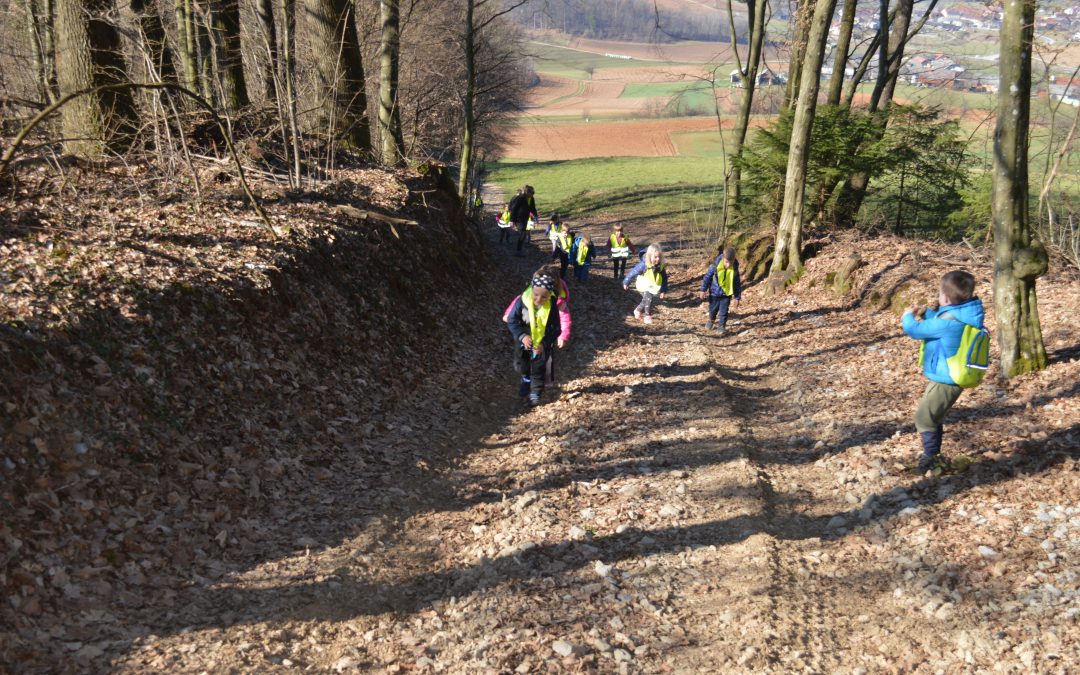 Pohod po Poti Slakove in Pavčkove mladosti